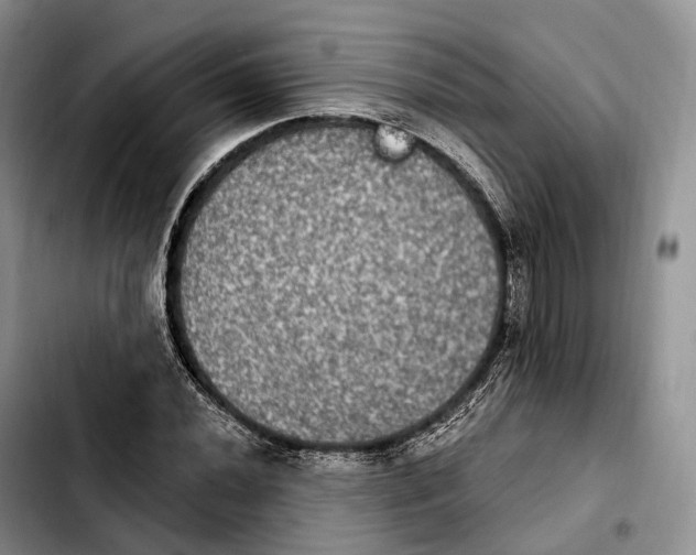 X0000103951020200810101433