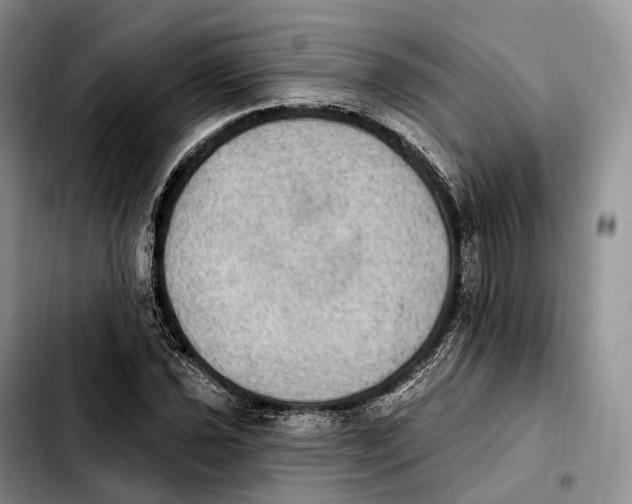 X0000103951021200810101433