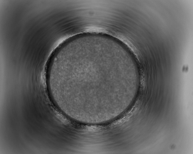 X0000103951022200810101433