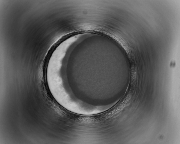 X0000103951023200810101433