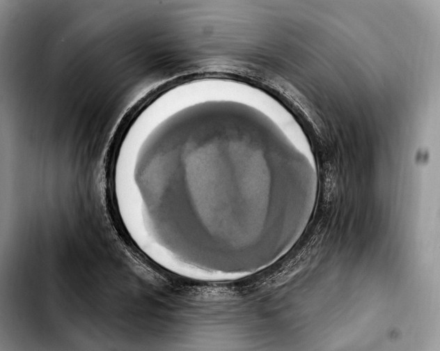 X0000103951024200810101433