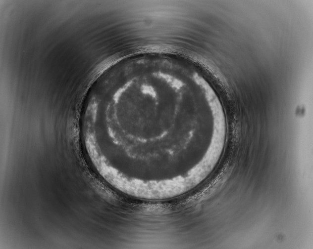 X0000103951025200810101433