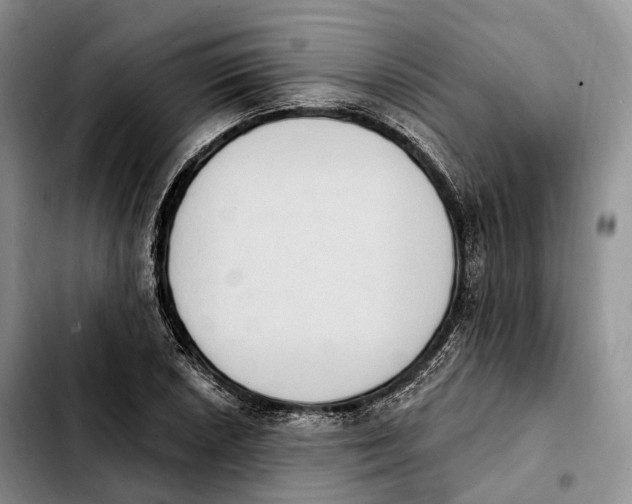 X0000103951026200810101433