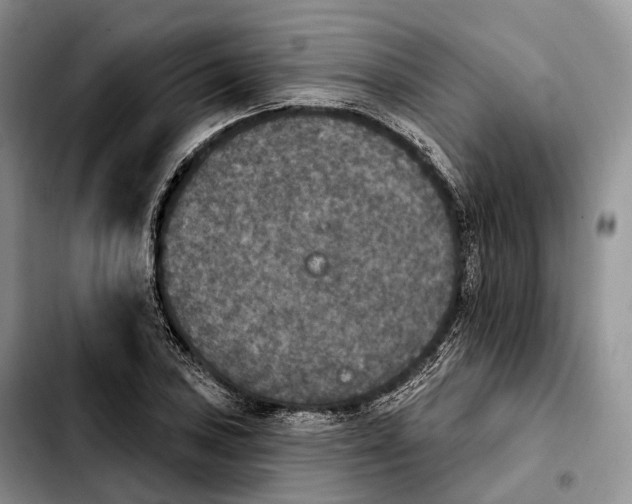 X0000103951027200810101433