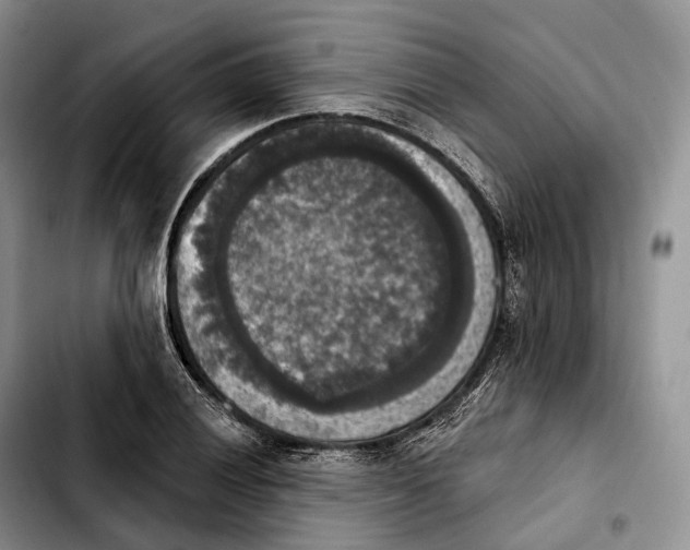 X0000103951028200810101433