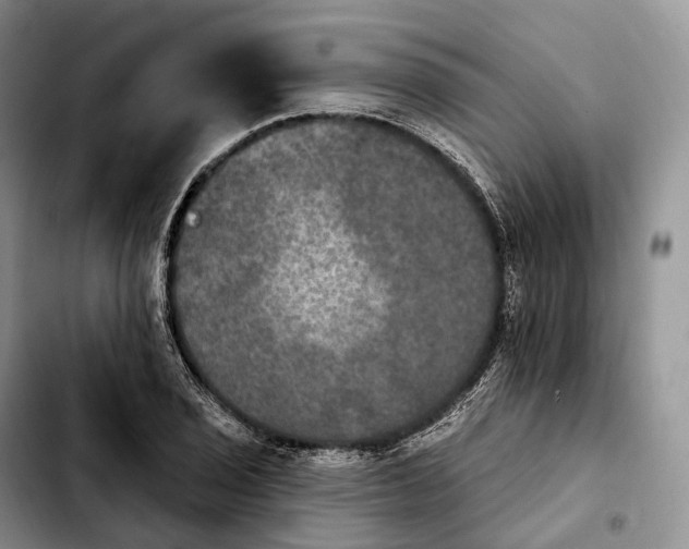 X0000103951029200810101433