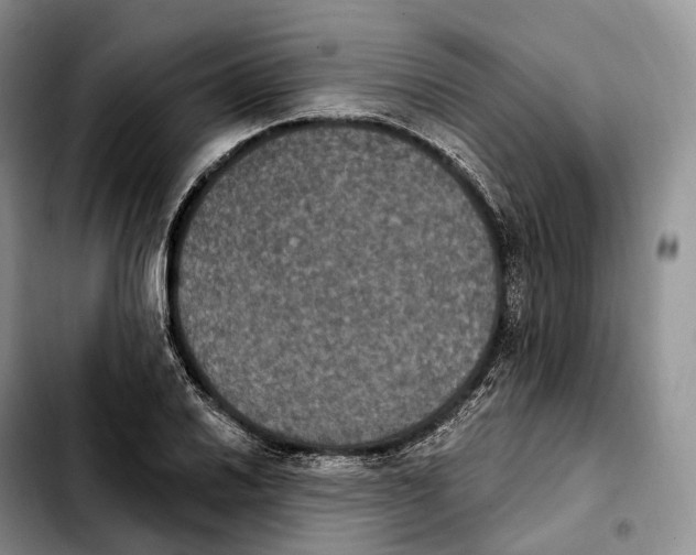 X0000103951030200810101433