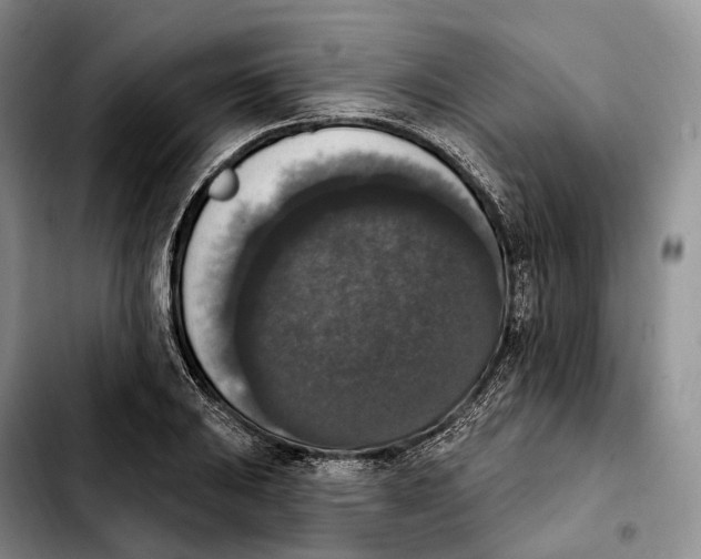 X0000103951031200810101433