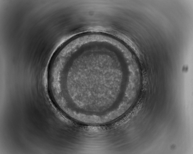 X0000103951032200810101433