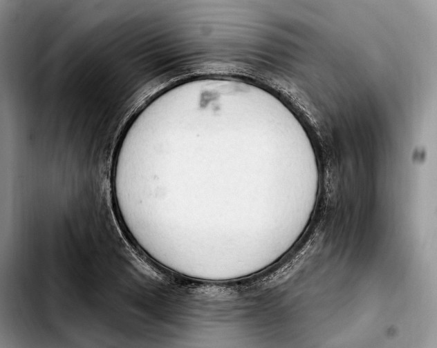 X0000103951033200810101433