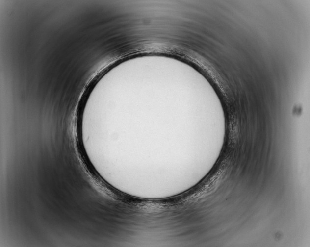 X0000103951034200810101433