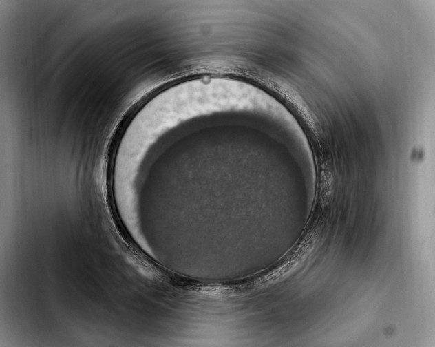 X0000103951035200810101434