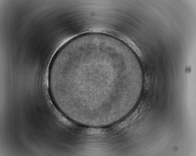 X0000103951036200810101434