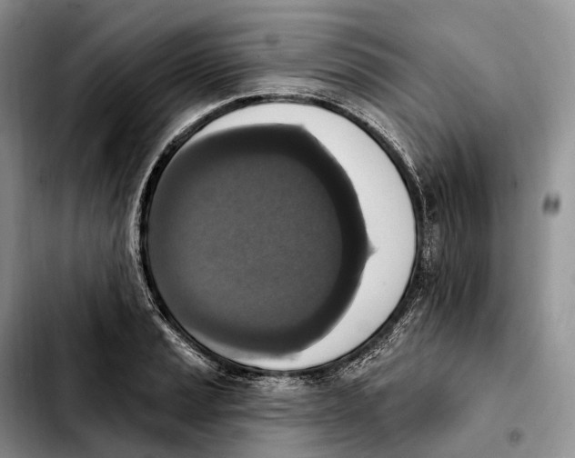 X0000103951037200810101434