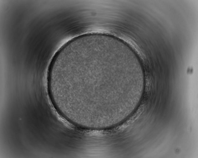 X0000103951038200810101434