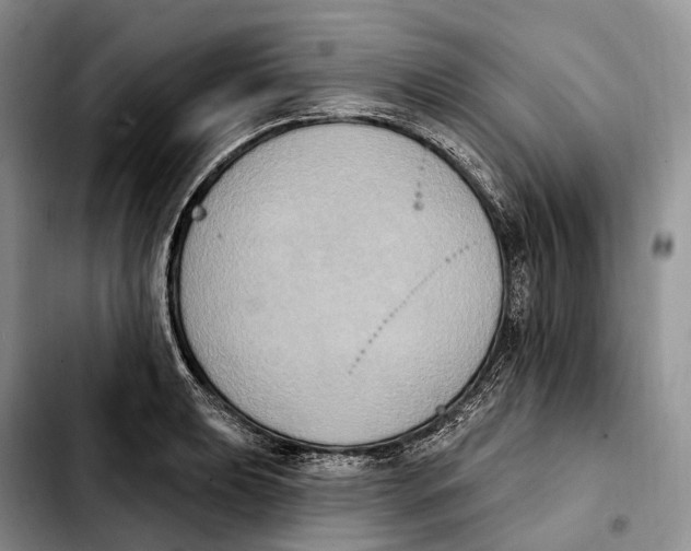 X0000103951039200810101434