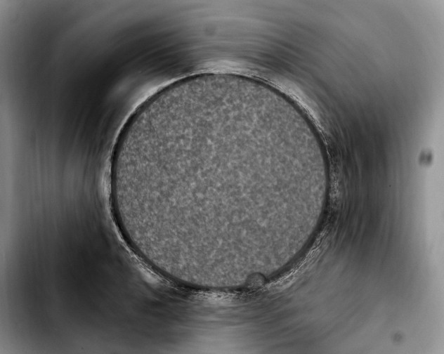 X0000103951040200810101434