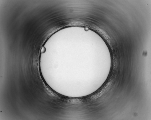 X0000103951041200810101434