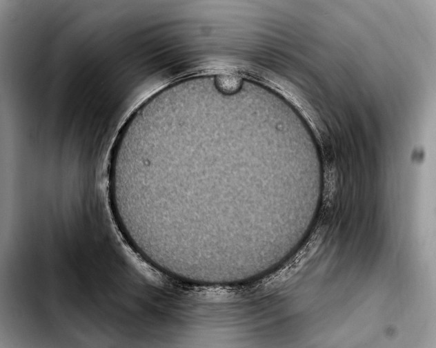 X0000103951042200810101434