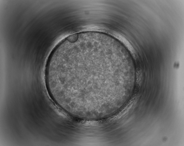 X0000103951043200810101434