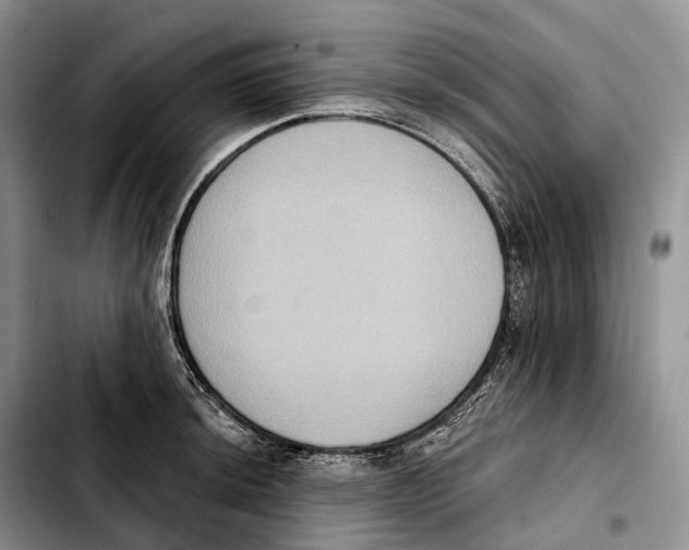 X0000103951044200810101434