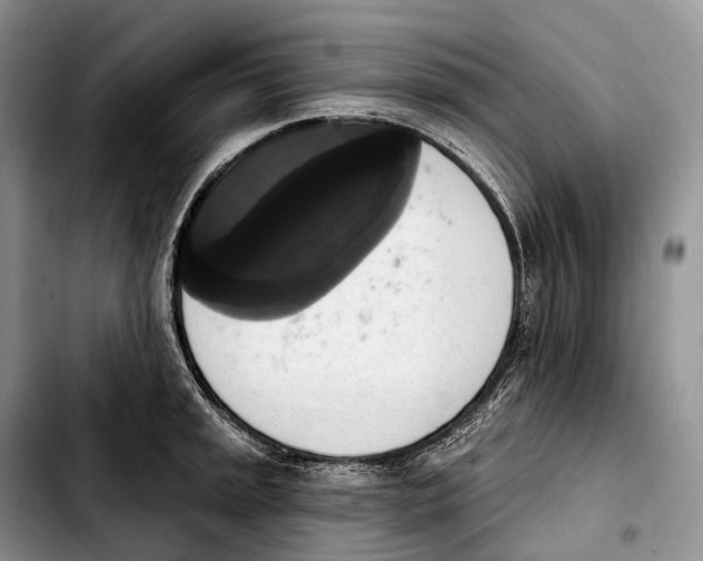 X0000103951045200810101434