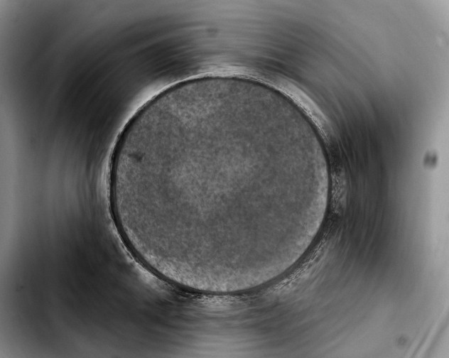 X0000103951046200810101434