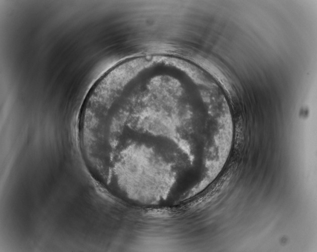 X0000103951047200810101434