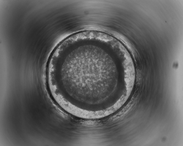 X0000103951048200810101434