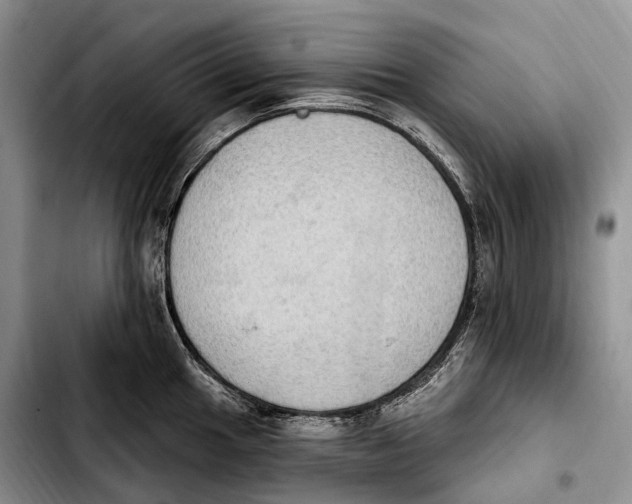 X0000103951049200810101434