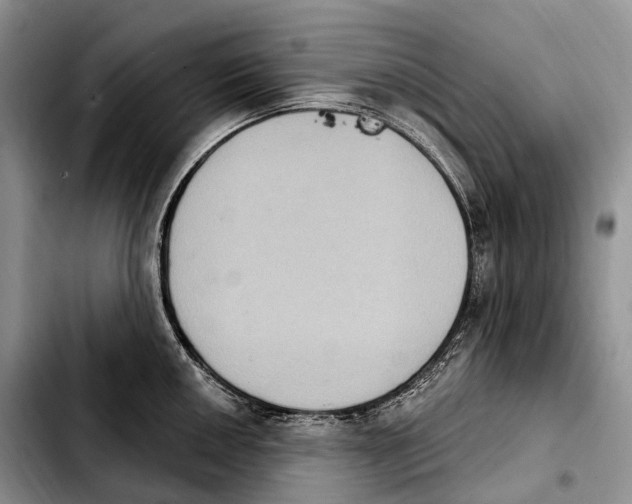 X0000103951050200810101434