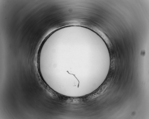 X0000103951051200810101434