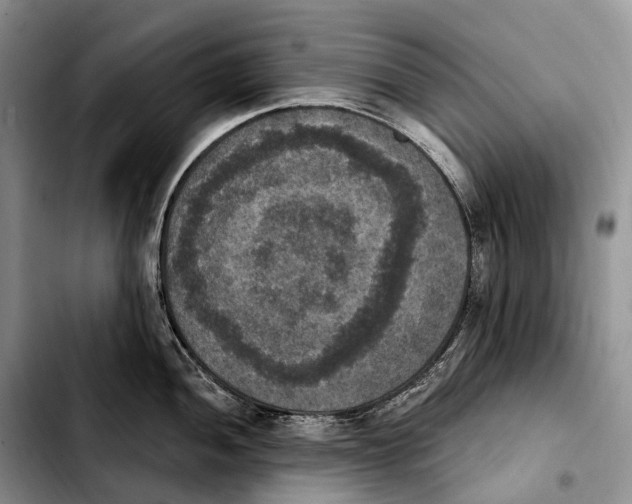 X0000103951052200810101434