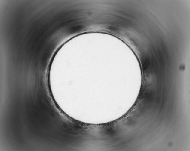 X0000103951053200810101434