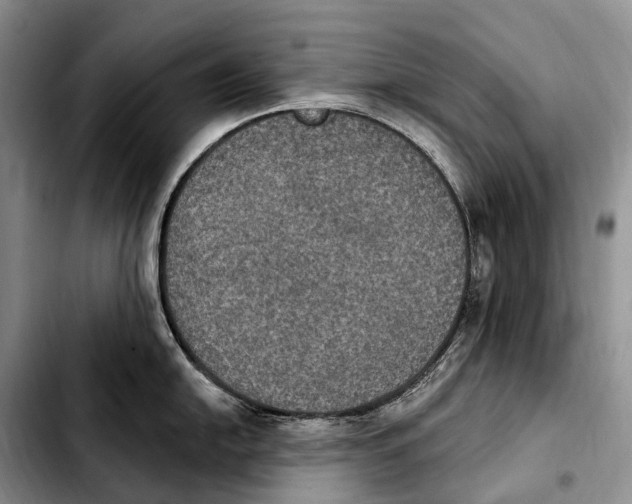 X0000103951054200810101434