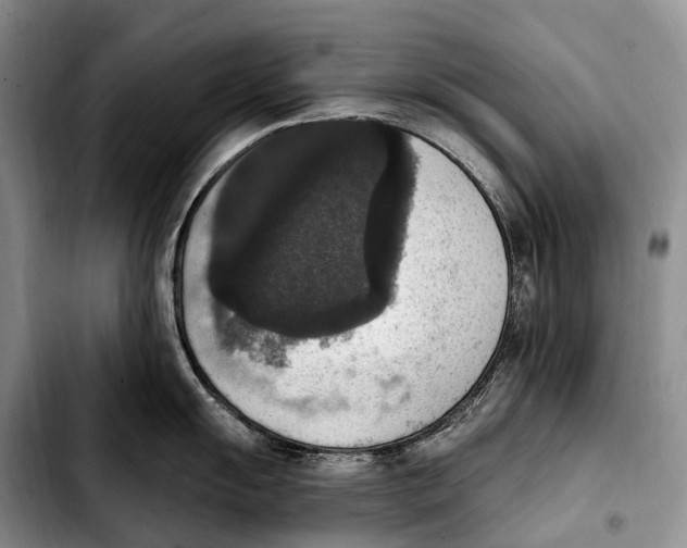 X0000103951055200810101434