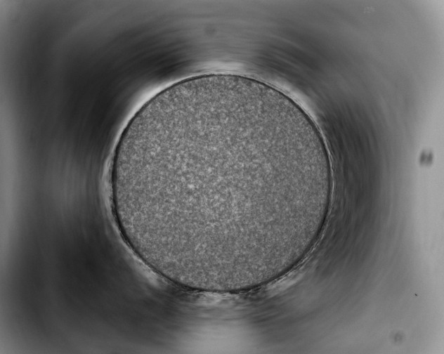 X0000103951056200810101434