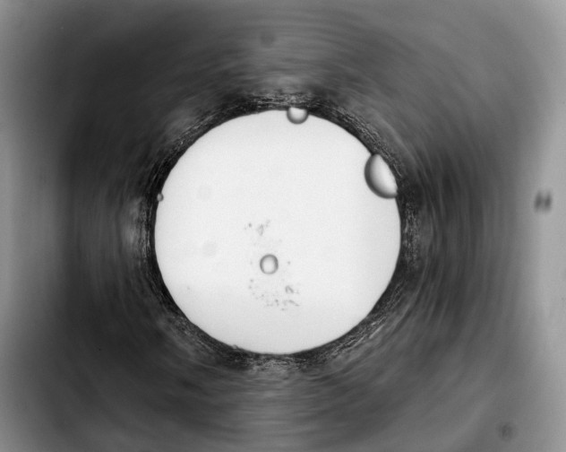 X0000103951058200810101433