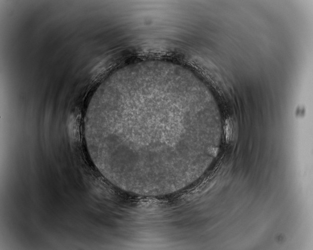 X0000103951059200810101433