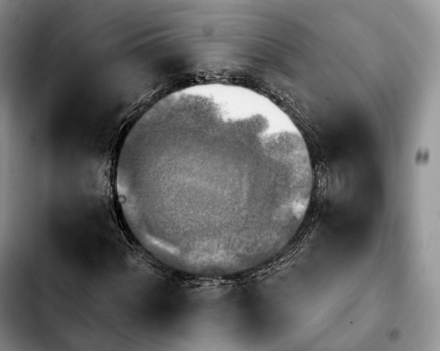 X0000103951060200810101433