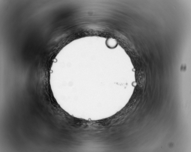 X0000103951061200810101433