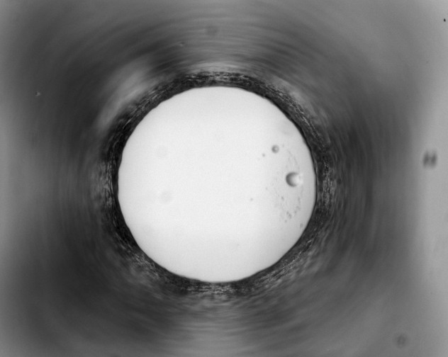 X0000103951062200810101433