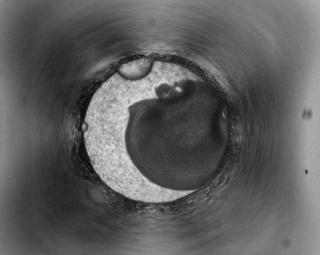 X0000103951063200810101433