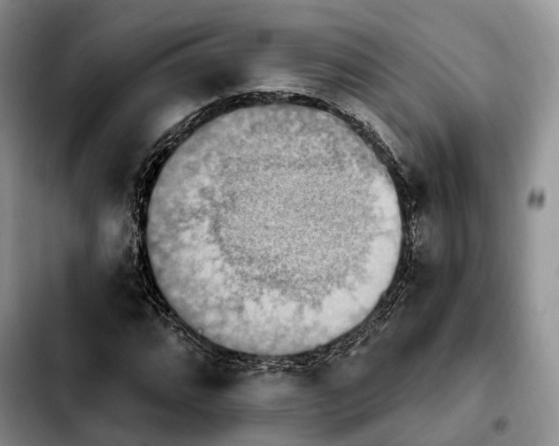 X0000103951064200810101433