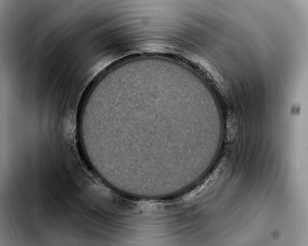 X0000103951065200810101433