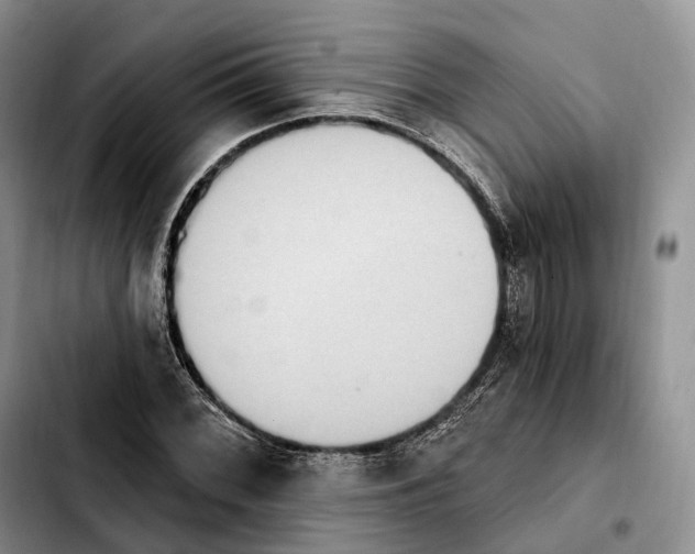 X0000103951068200810101433