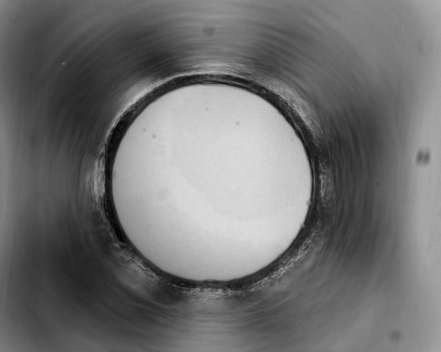 X0000103951069200810101433