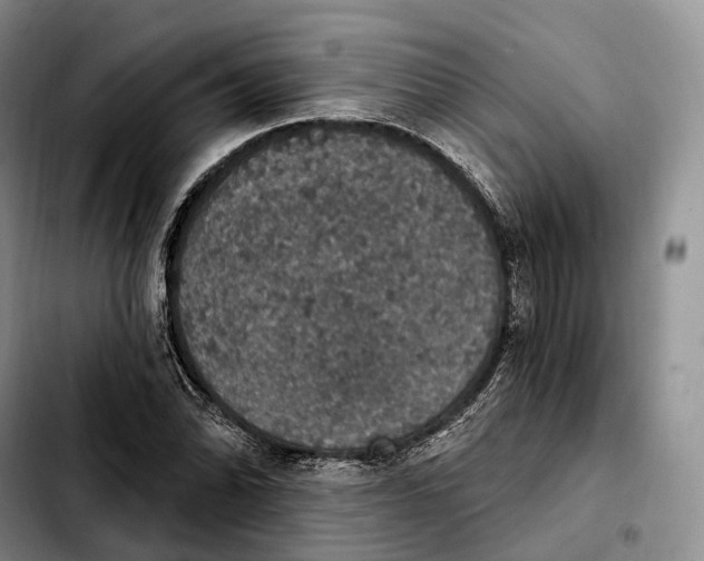 X0000103951070200810101433