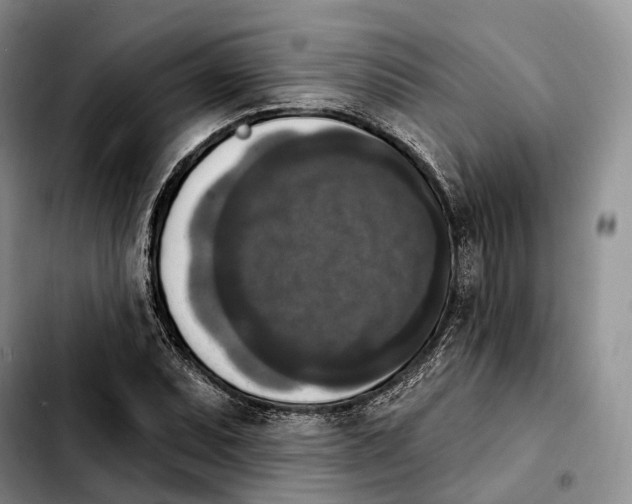 X0000103951071200810101433