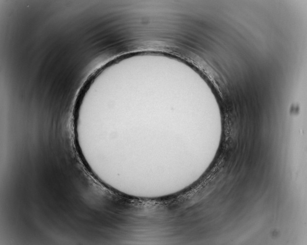 X0000103951072200810101433